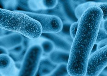 Procjena rizika prisustva Legionella spp u vodnim sistemima stomatoloških stolica