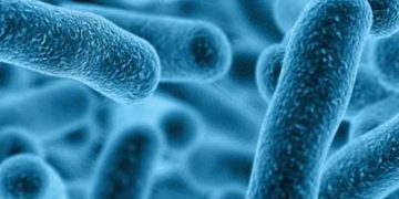 Procjena rizika prisustva Legionella spp u vodnim sistemima stomatoloških stolica