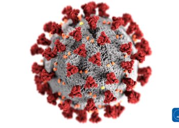 Korona virus i stomatolog